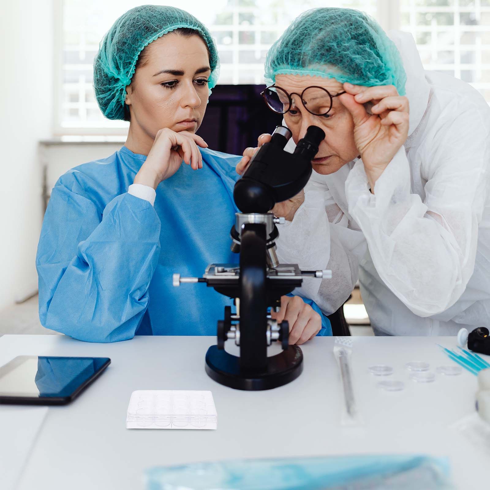 12구멍 세포 배양 플레이트, 조직 배양 트레이, 실험 - Lab Equipment 리뷰 및 가격